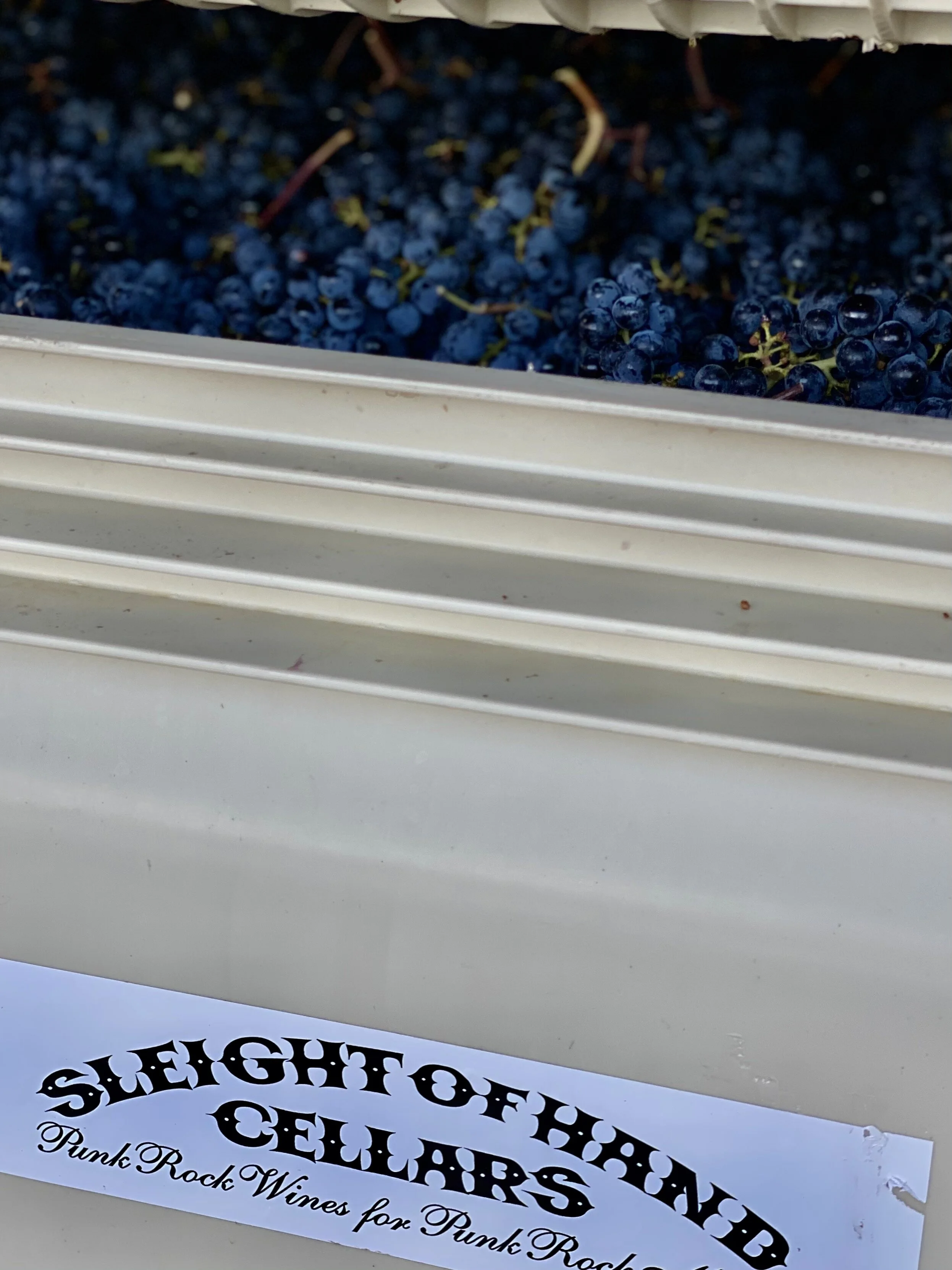 Harvest 2020 Update! 
