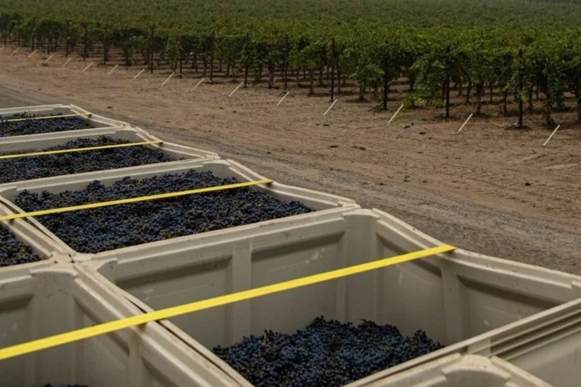 Harvest 2020: It's a wrap! 