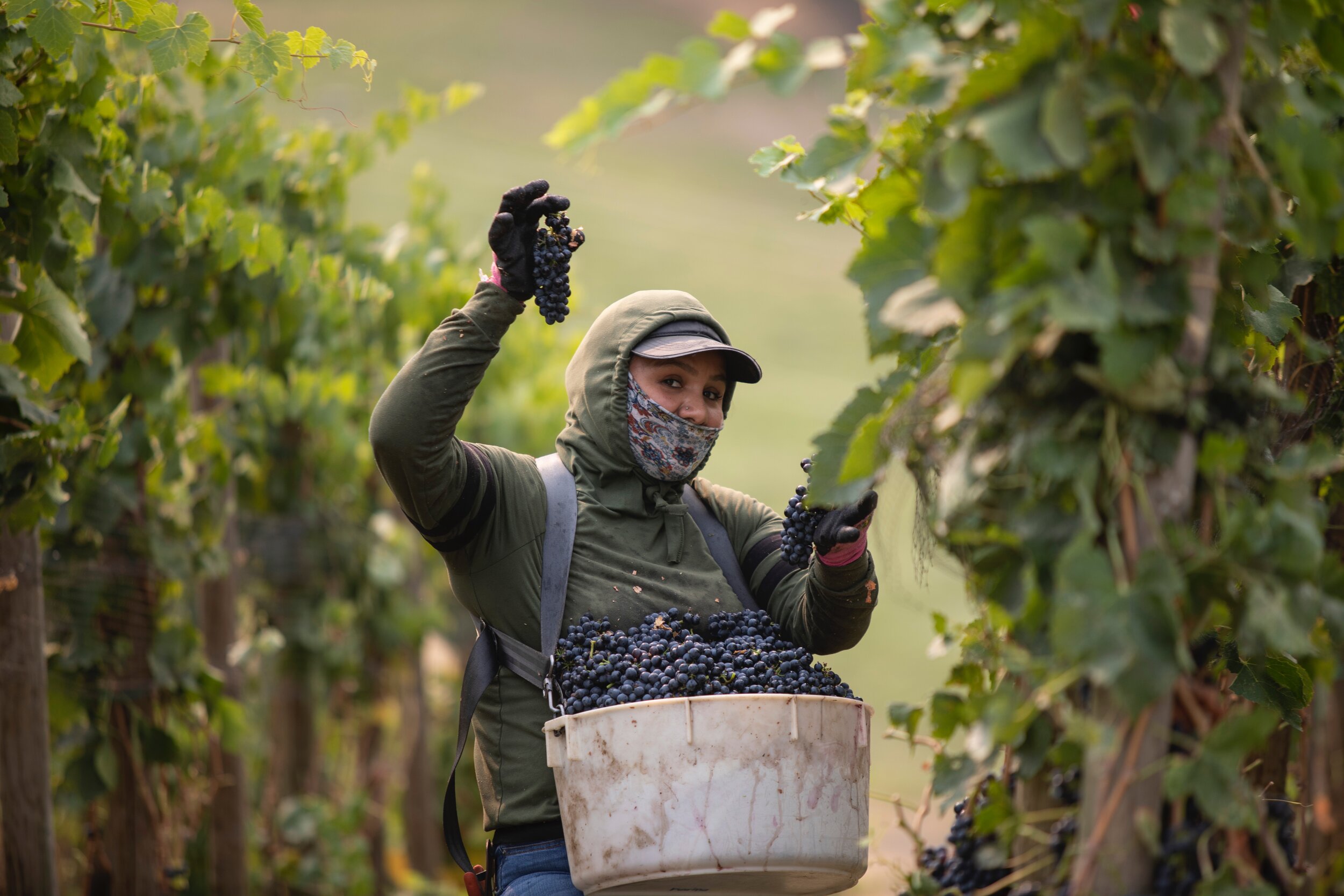Harvest 2021 in the door