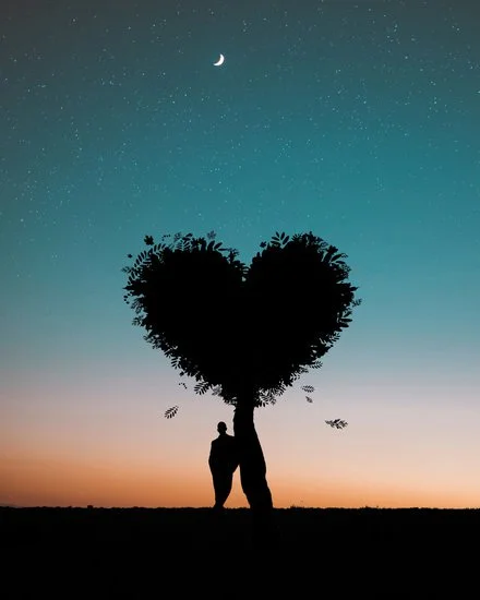 harvesting Love.jpg