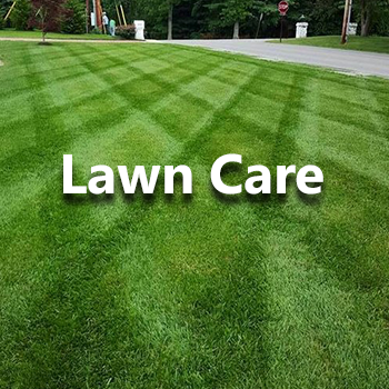 Lawn Care