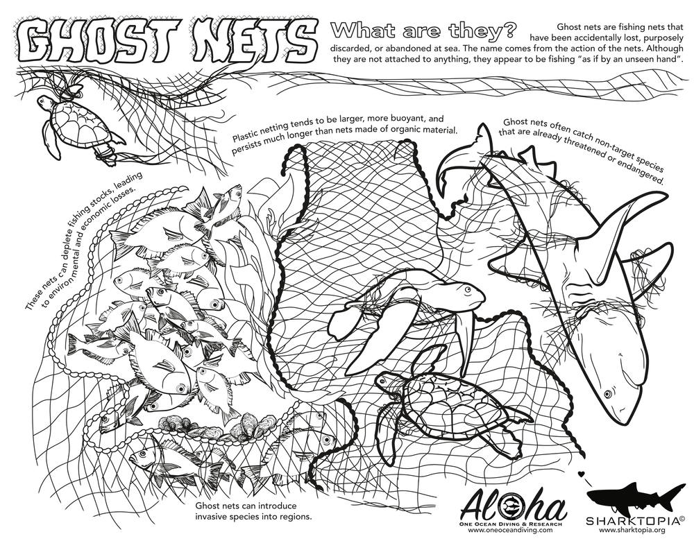 Fun Free Print outs for Kids — One Ocean