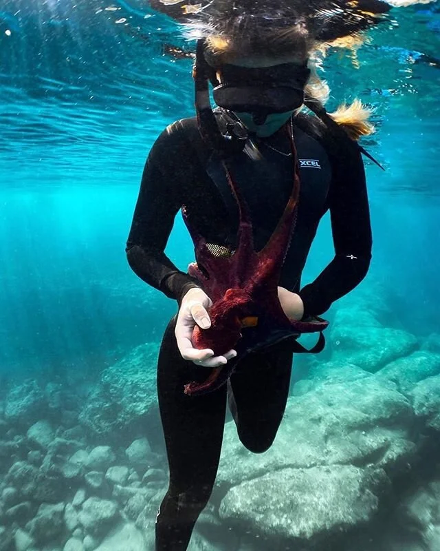 &ldquo;Thalassophile&rdquo; (n.) a lover of the sea, someone who loves the sea, ocean. Check out @oneoceanfreediving 
#Repost @taylork.sea
・・・
Hanging out with the takos 🐙 shot by @andriana_marine on @axisgo by @aquatech_imagingsolutions