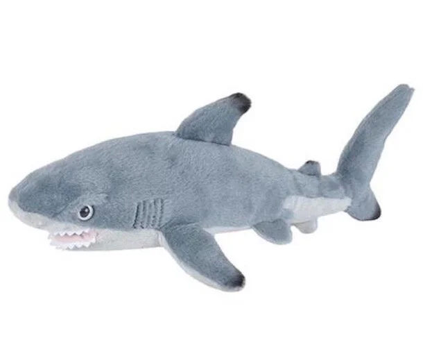 Screen Shot 2021-07-08 at 7.04.55 AM.jpeg