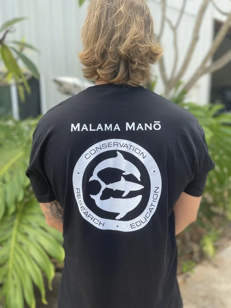 Safety First: Ensuring Your Peace of Mind while Shark Diving with One Ocean