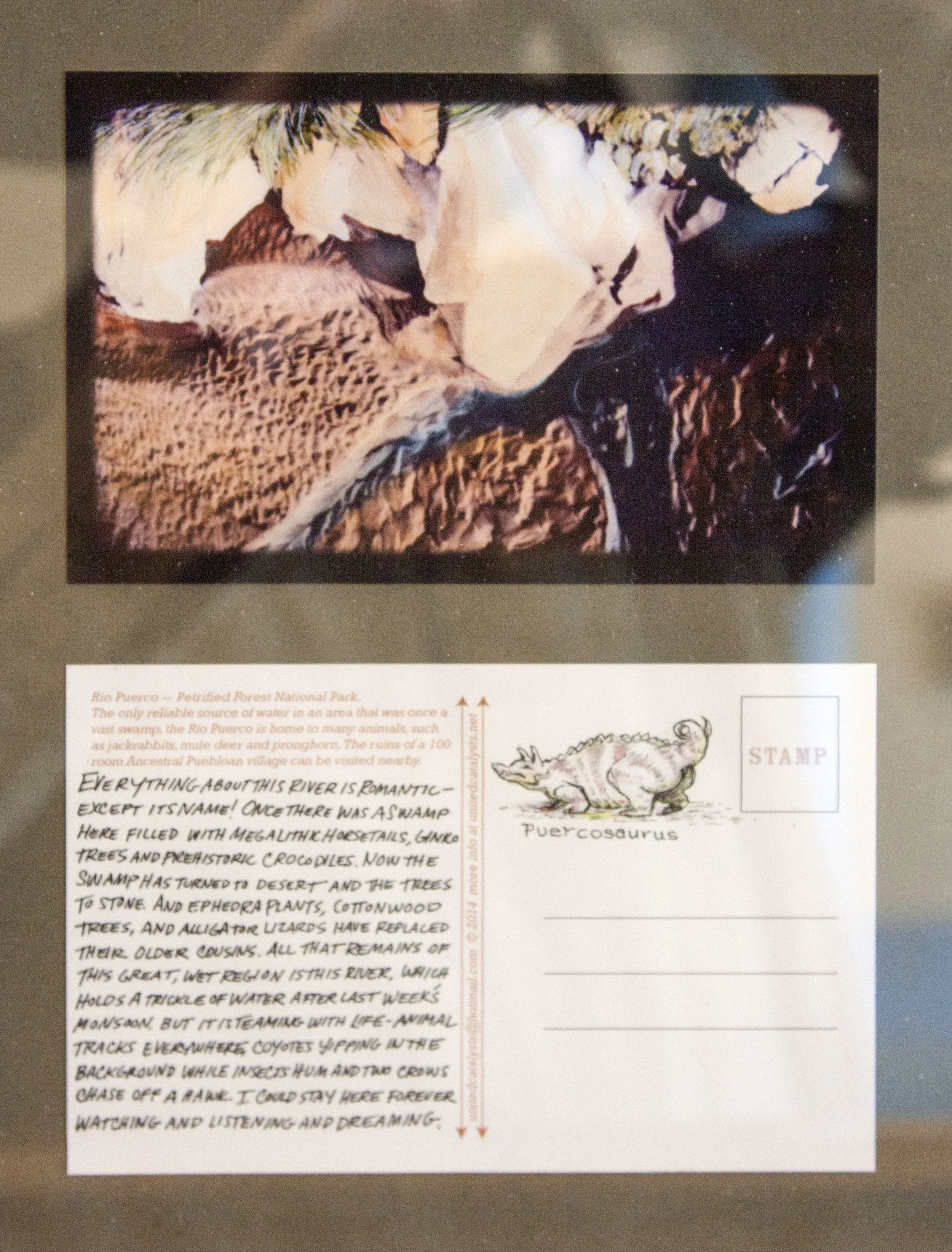 20140722_1344.jpg