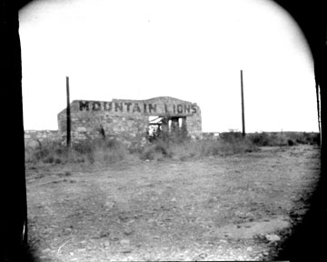 mountainlions.jpg