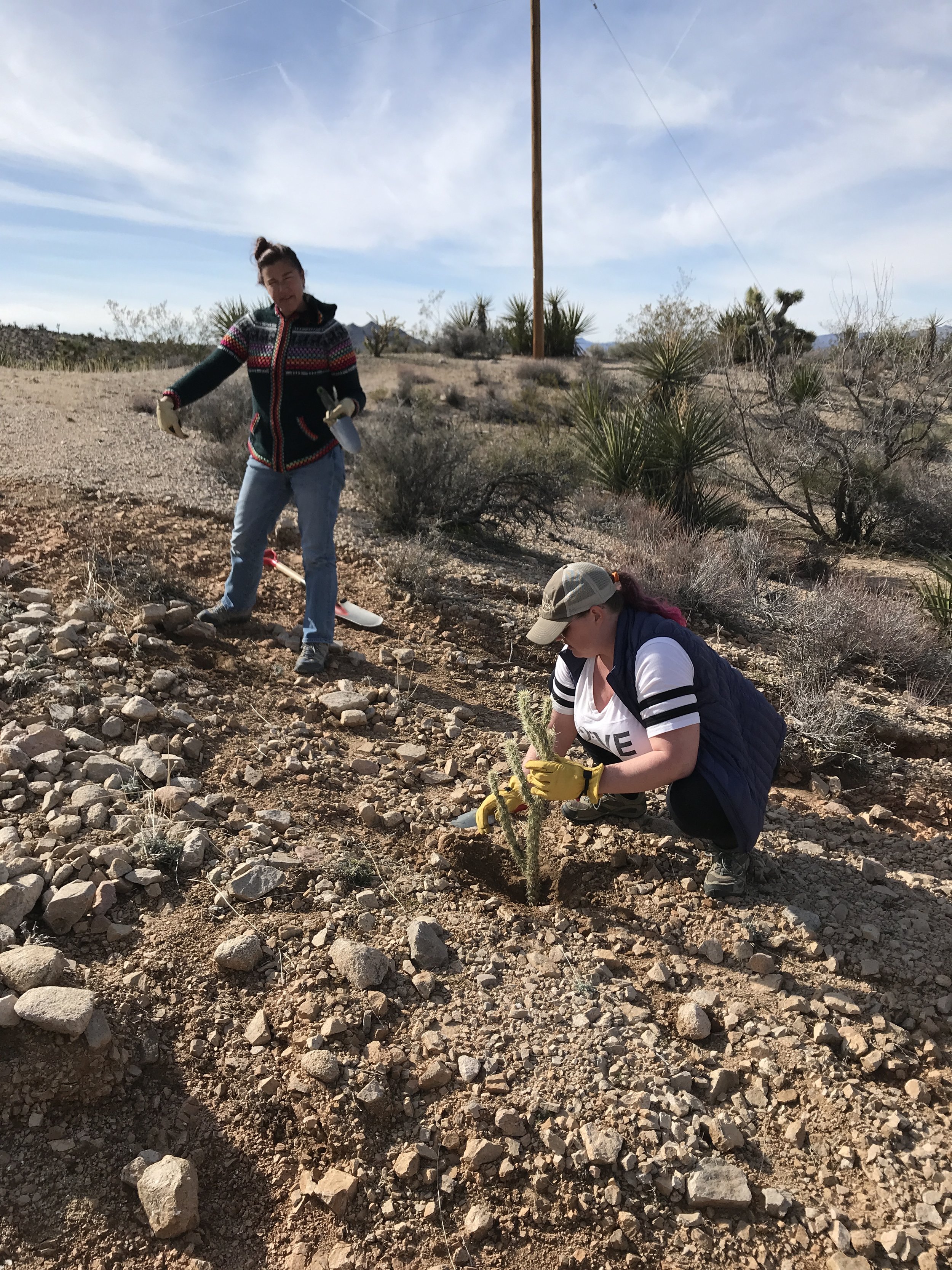 PROJECT_OCC_occ plant.JPG