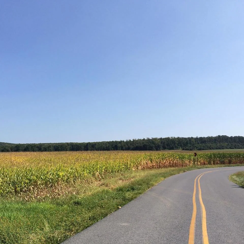 pa road.jpg