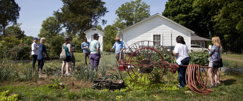 Photo courtesy of renfrowfarms.com