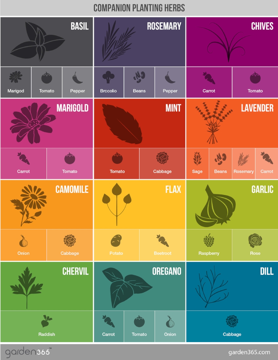 Charts courtesy of Garden 365