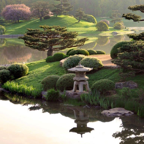 Image courtesy of Chicago Botanical Garden 