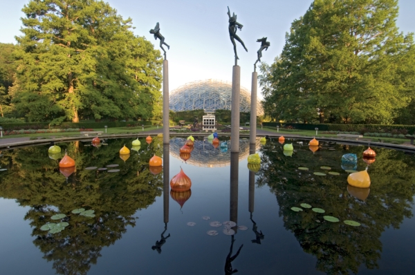Image courtesy of Missouri Botanical Garden . 