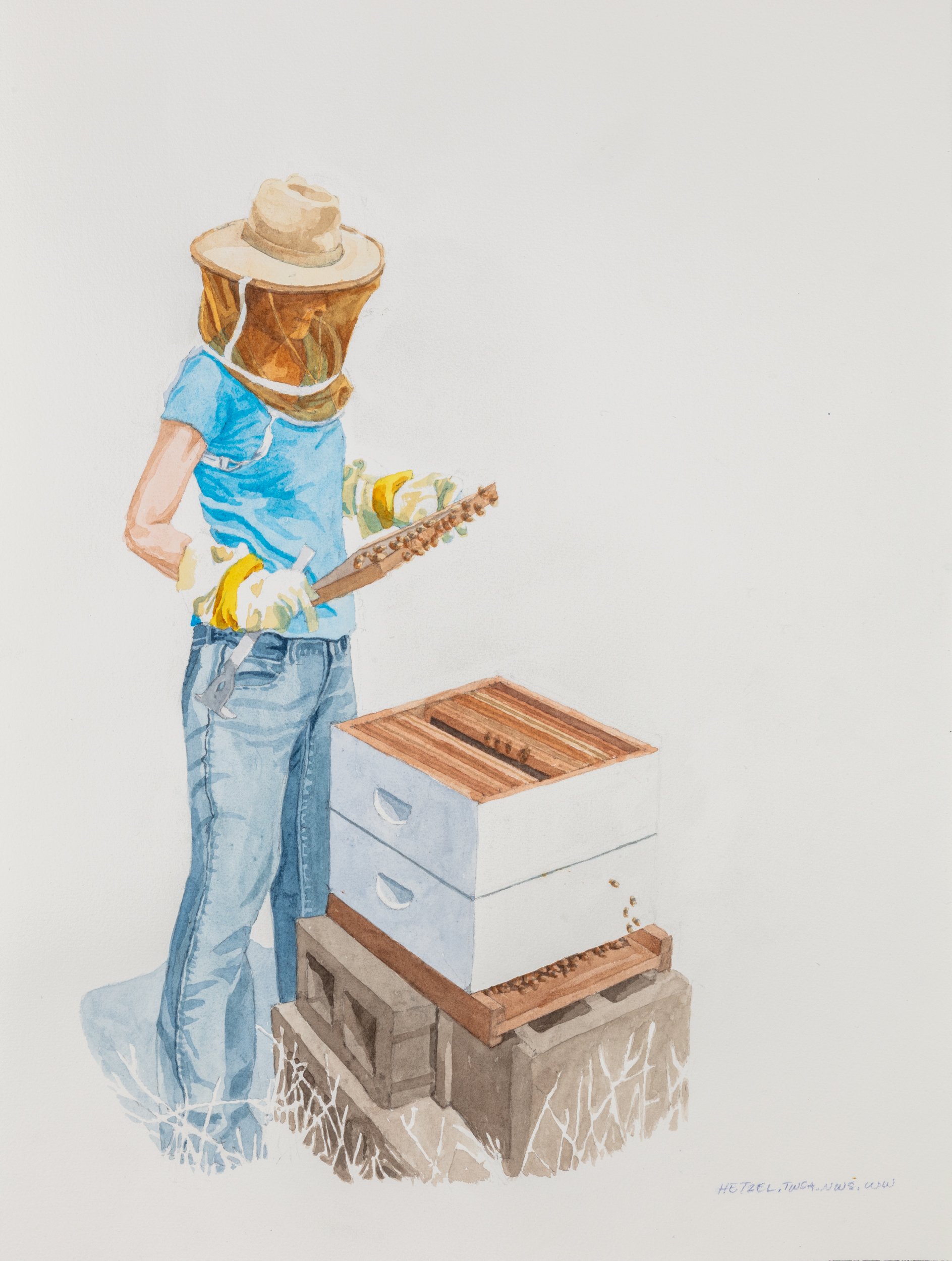 Bee Careful.jpg