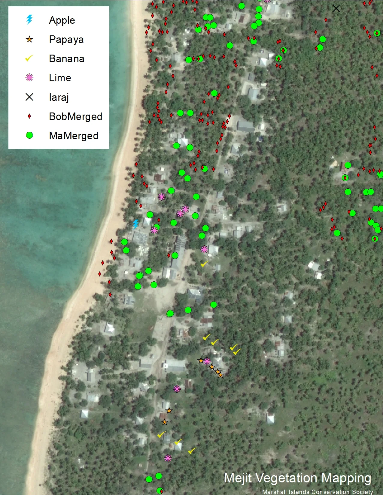 Technical Support to Local NGO Named "Voices of the Women of Mejit" in Mapping All Food Tree Species on Mejit Island