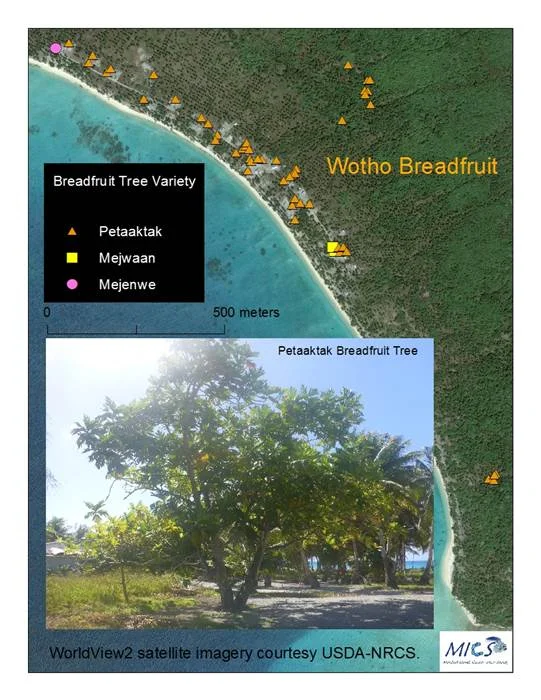 Breadfruit Tree Mapping on Wotho Atoll