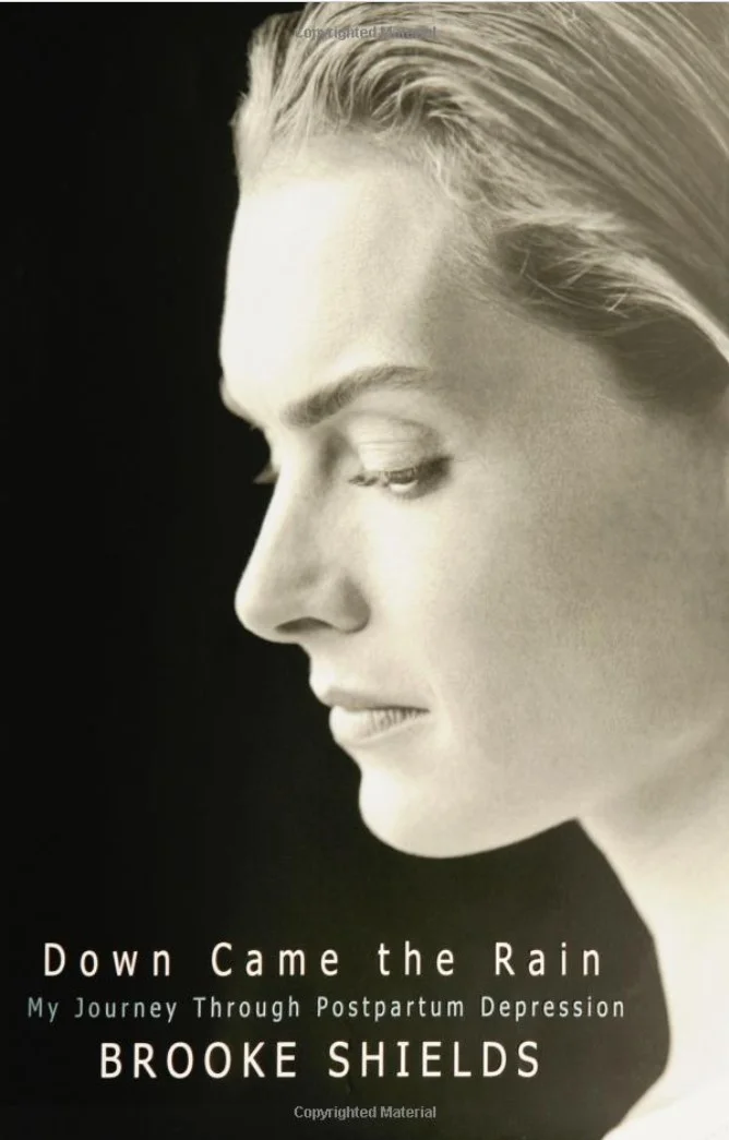Down Came the Rain - Brooke Shields