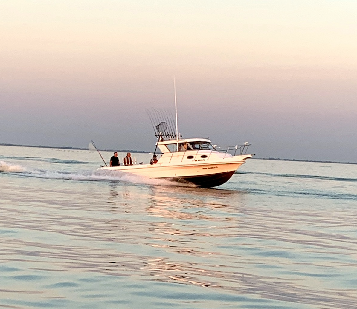 Screenshot 2024-03-30 at 11.16.22 AM.png