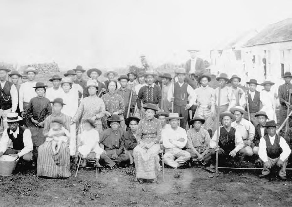  Japanese plantation workers in Hawaii, c. 1890  via  