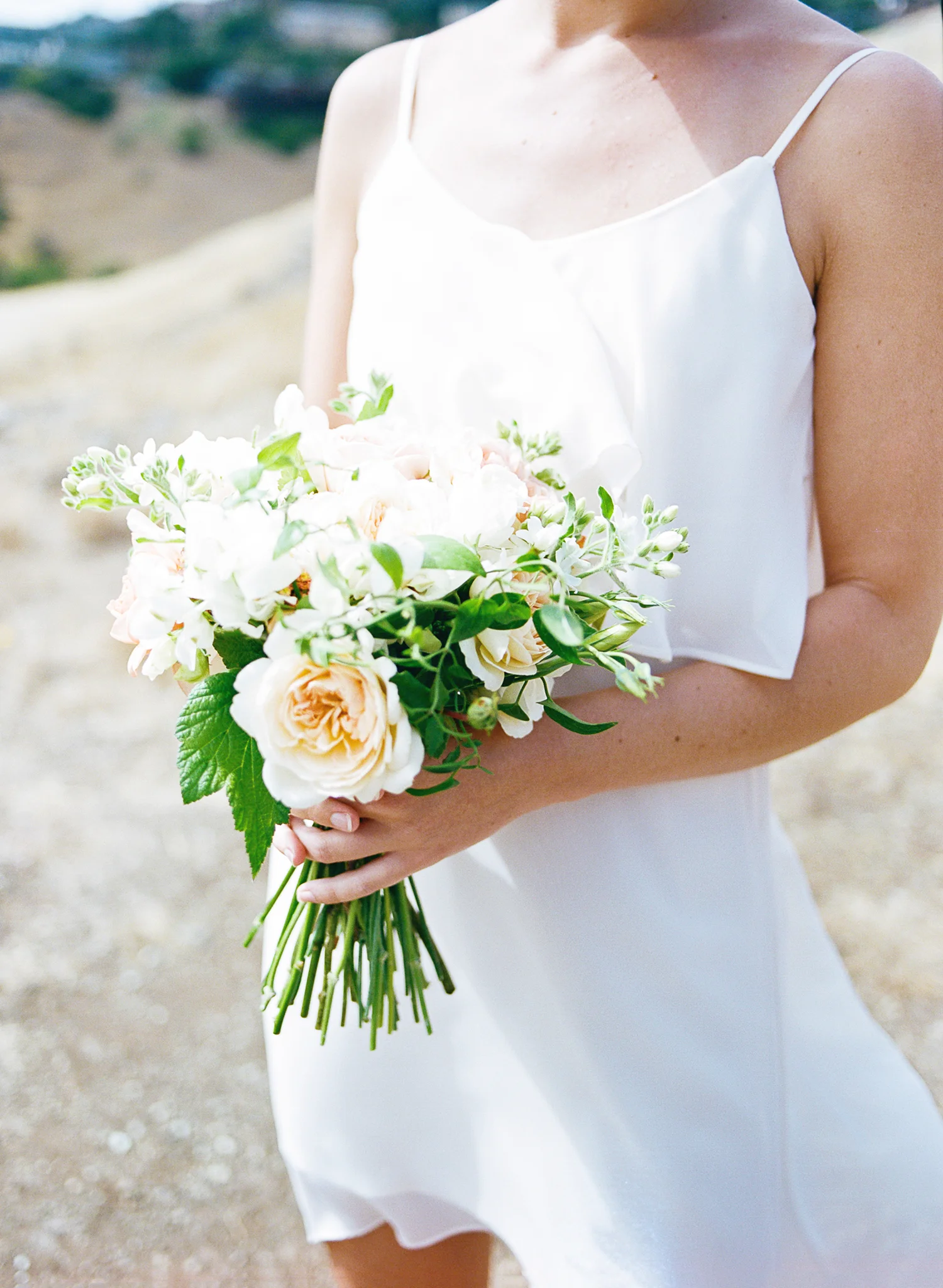 Diana-Marie-Photography-237 copy.jpg