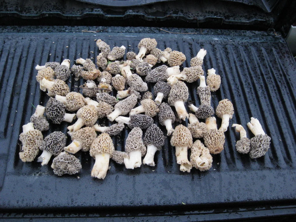 Morrell with matt.jpg