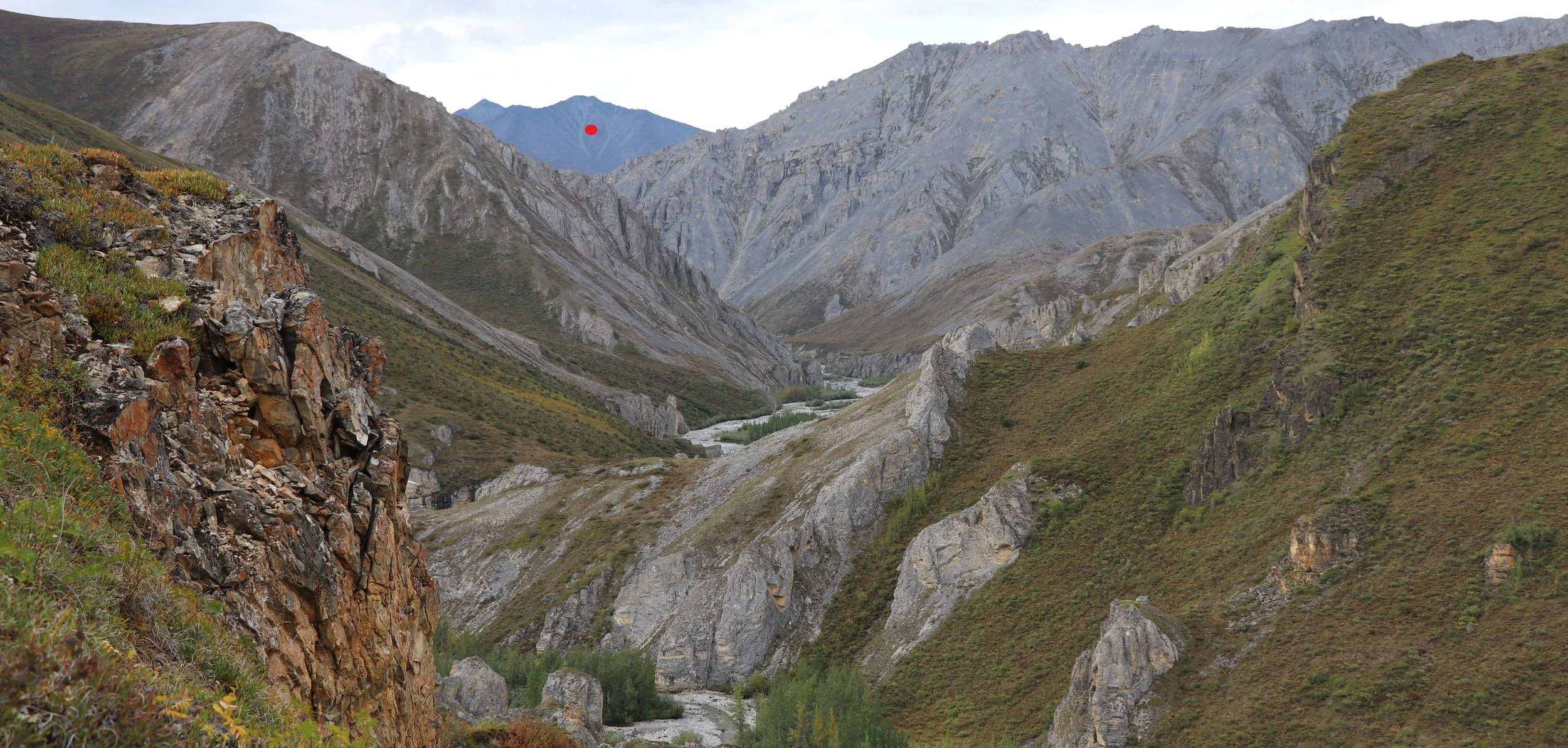 The first two legal rams were spotted near the red dot, somewhere between four and five miles away.