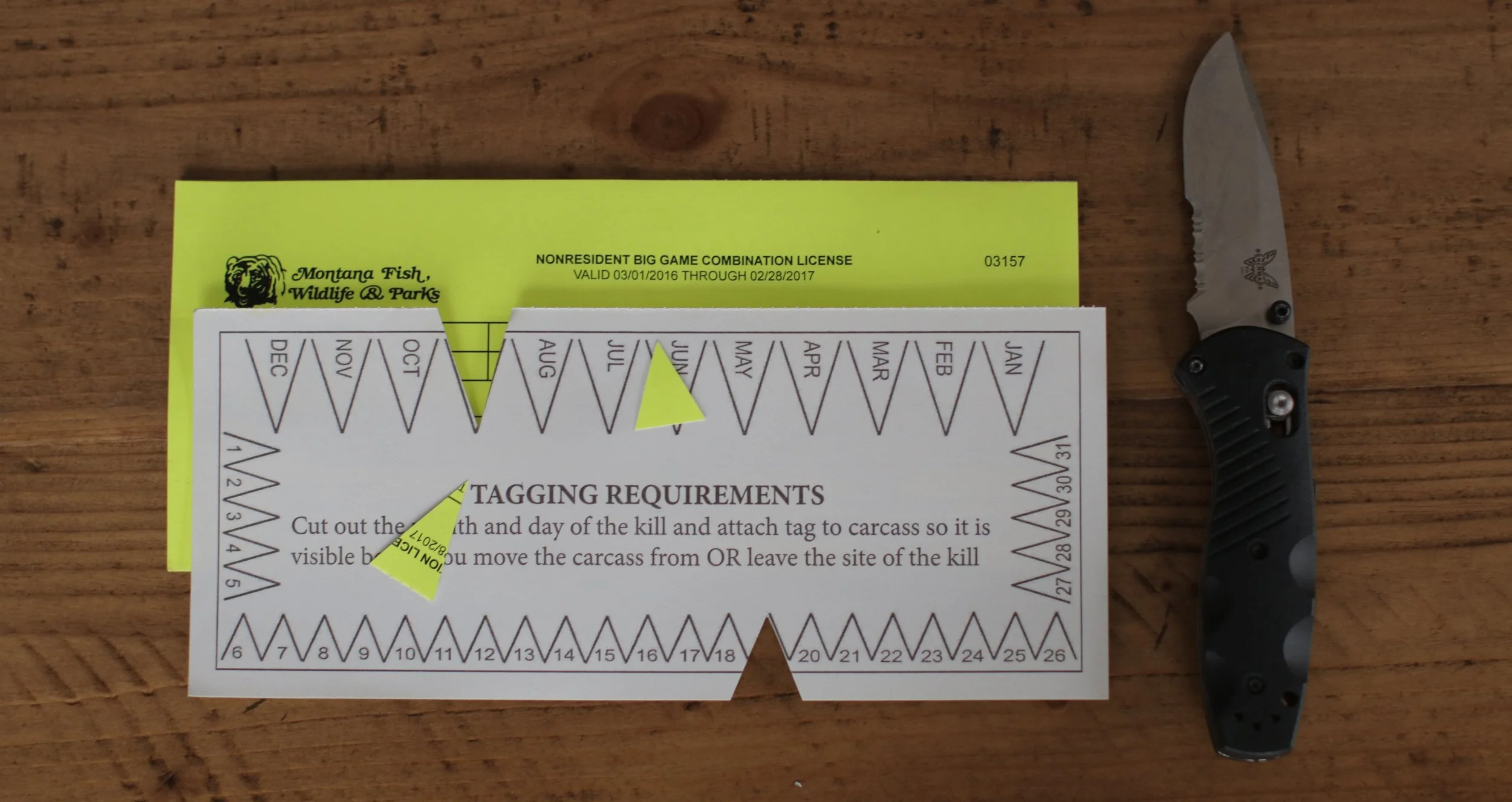 Dreaming of Trophy Big Game?  Start Applying Now