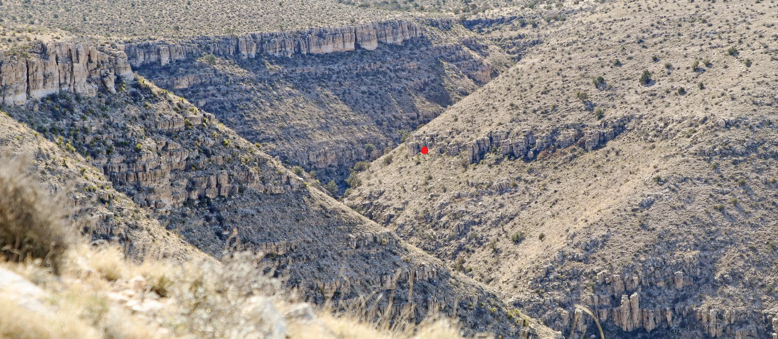 The red dot marks the location of the sheep when Cody fired.
