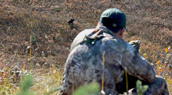 Now is my chance. Nothing but 250 yards and my Kryptek camo separated me from the bull. 