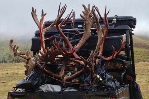 Not a bad day's work...