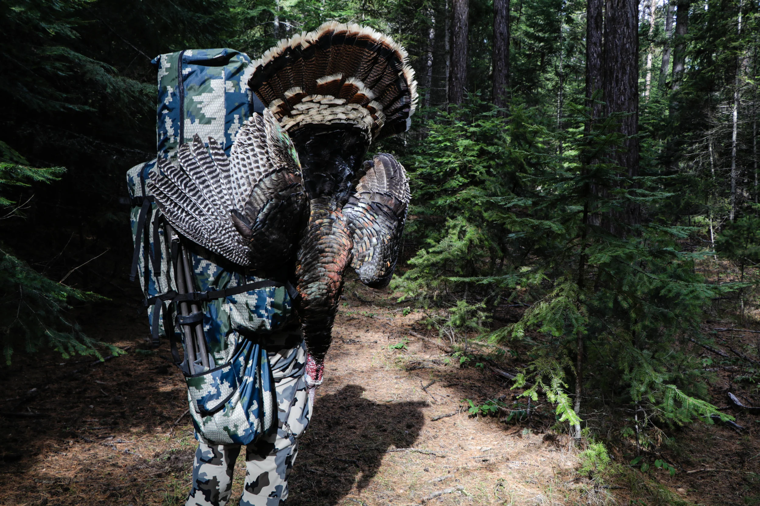 The Xenek Apex blind packs into a backpack that comes included, and offers plenty of space for chairs, tripods, etc.