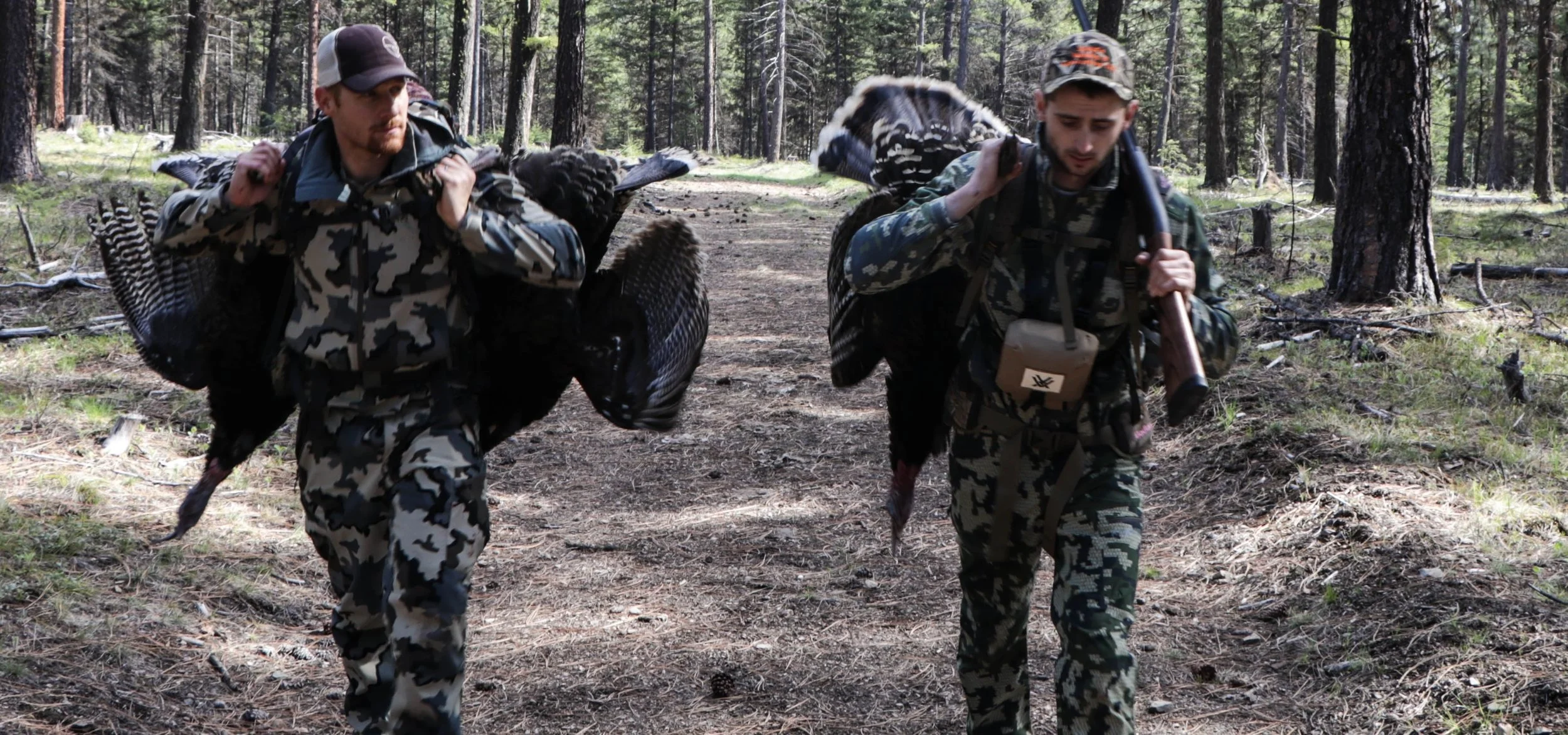 Derek and I walking out with three of the four gobblers we harvested in Montana this past spring.