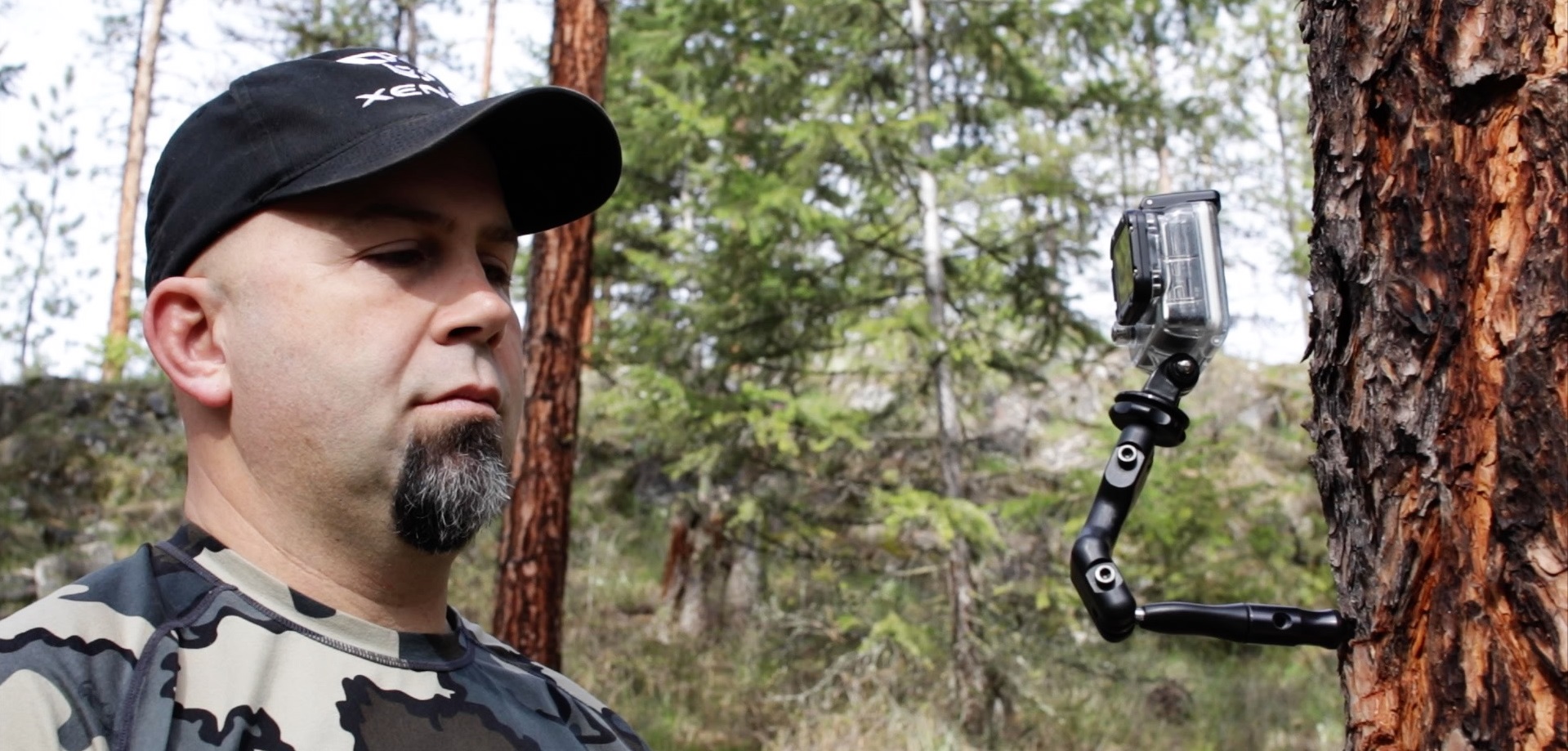 The Tree Screw and Mini-Mount in use.