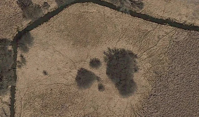 You can plainly see deer trails through the swamp in this image. This is typical so long as you're hunting an area where Google displays this level of detail.