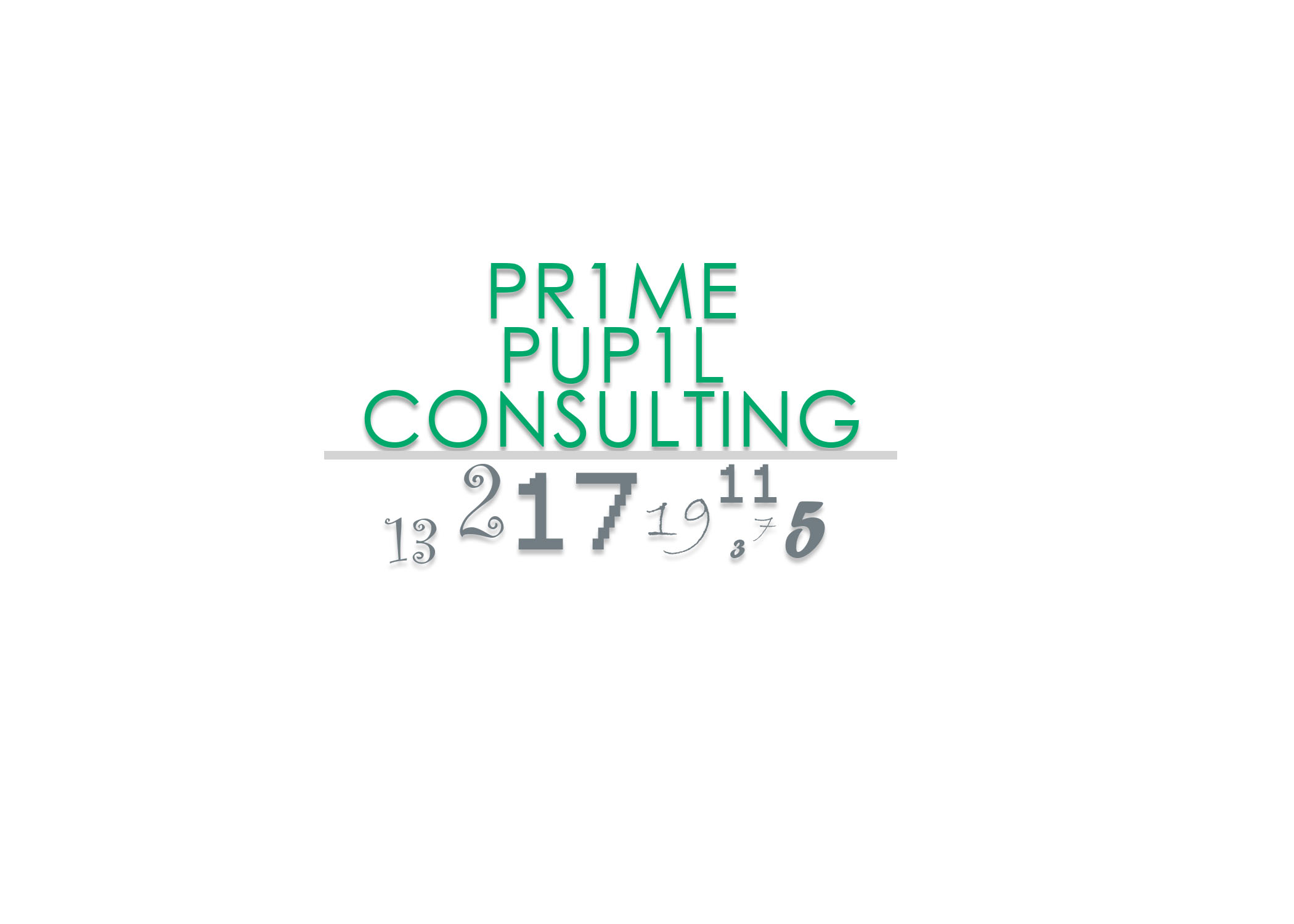 Prime Pupil Consulting.jpg