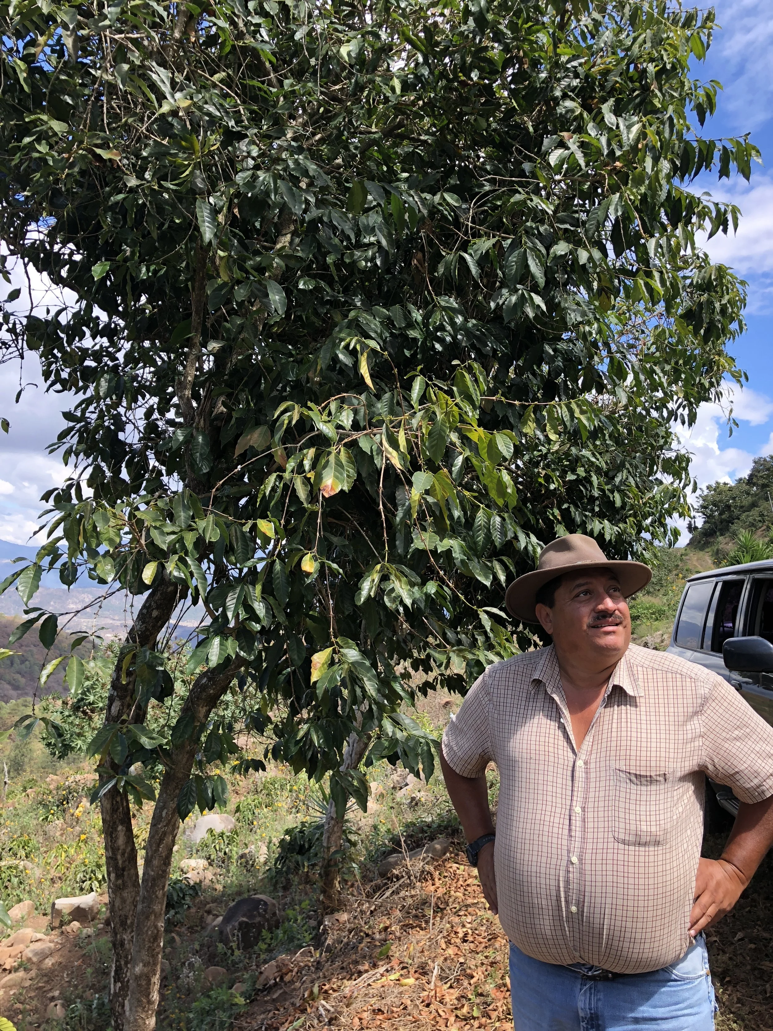 The Human behind the Bean: Injustices in the Coffee Trade