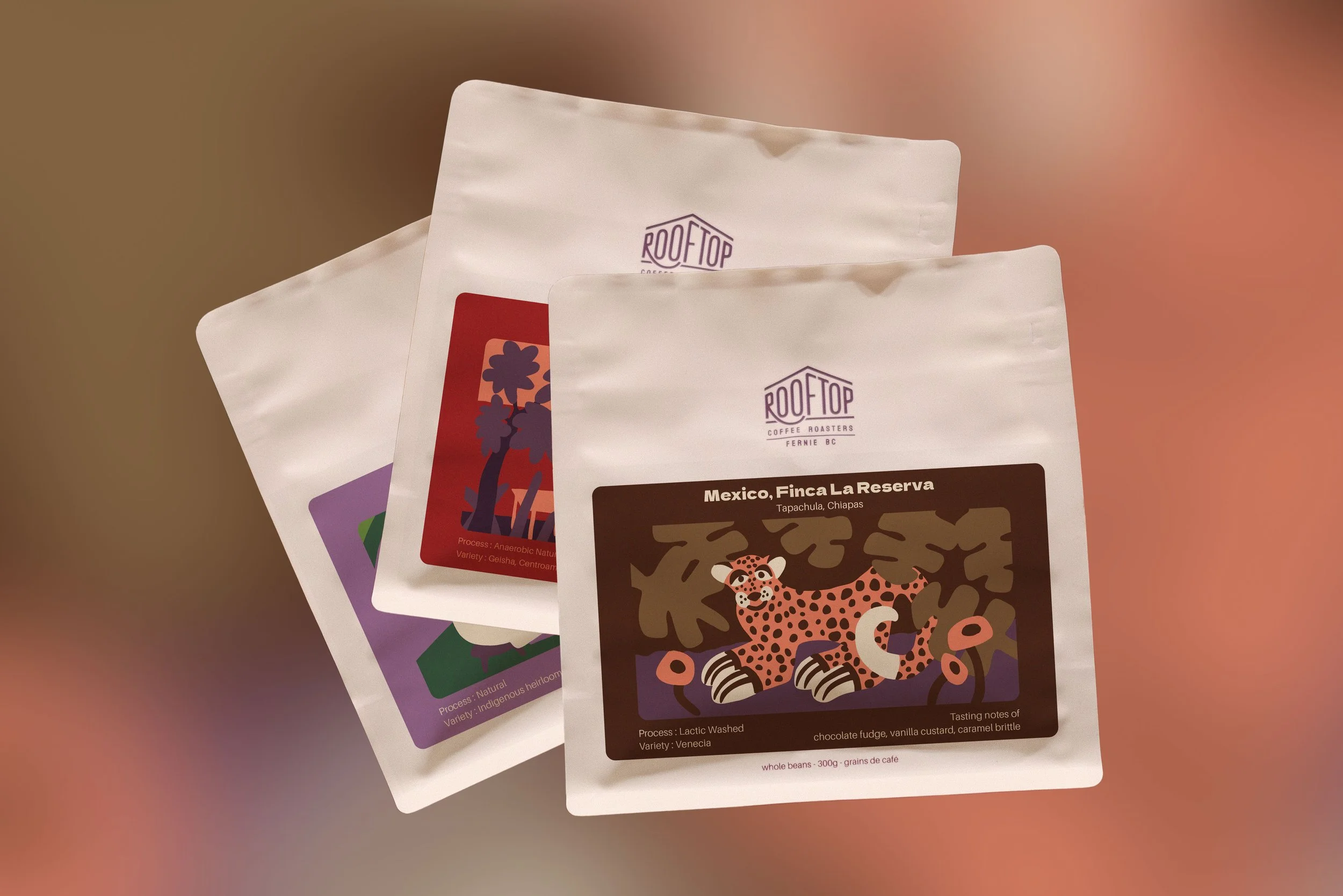 Classic : Monthly Subscription