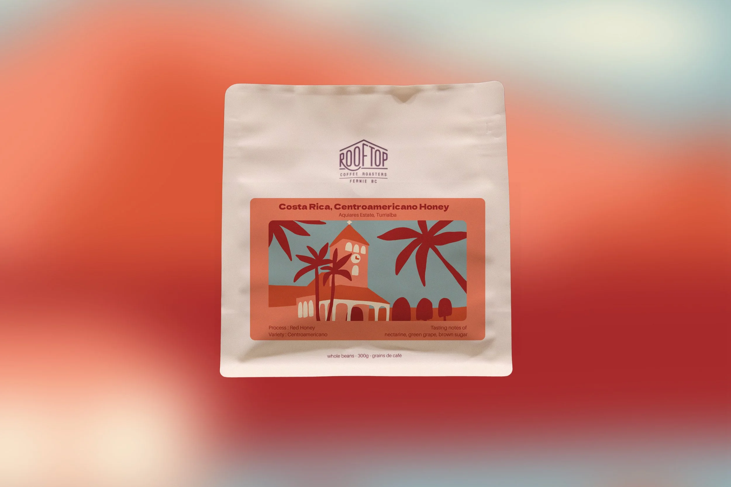 Costa_Centro_Honey-web.jpg