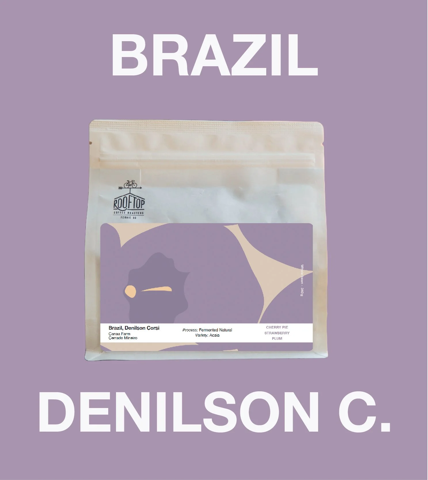 Brazil, Denilson Corsi