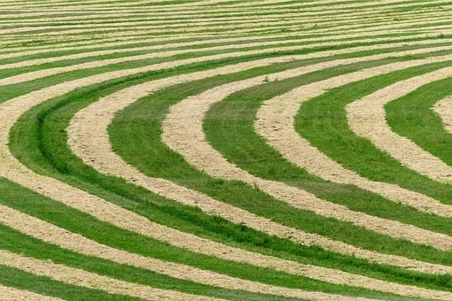 Crop Circles