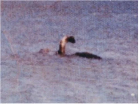 An alleged photo of Champ