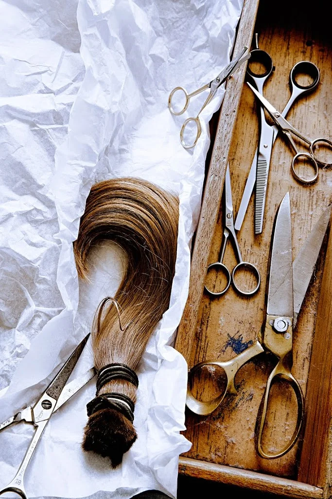 still life photography #SamsonDelilah #TheOtherWoman #Surrender #HairStrand #Scissors #Shears #Box #Paper #Dust #Cobweb #SophiaTerraZiva