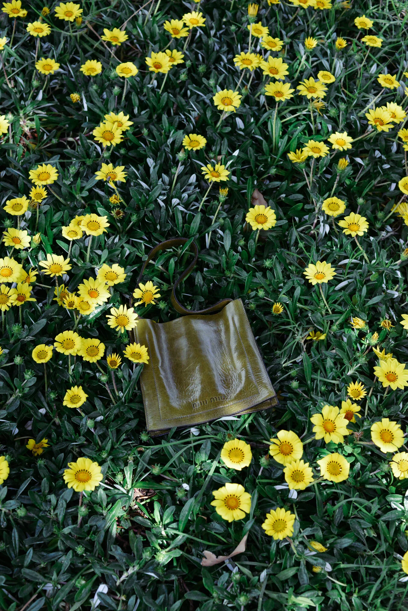 _BOB0480.jpg