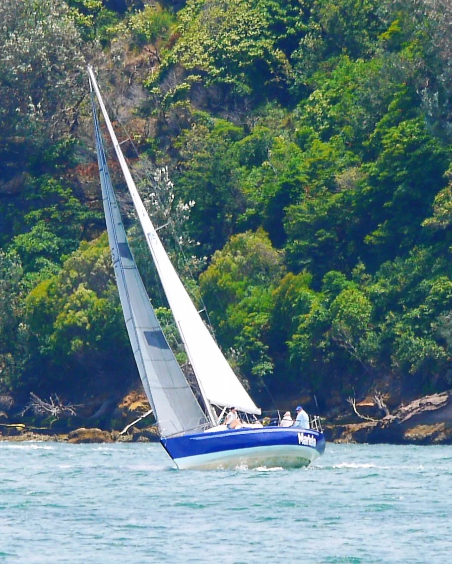 Martela: Winner of Race 8, 2016-2017 Spring Series