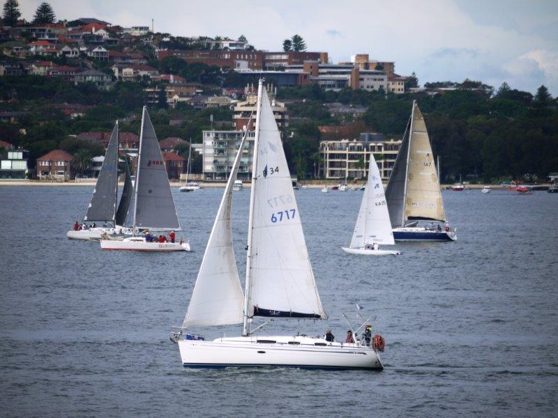 Megisti Blue: Winner of Race 5 of the 2016-2017 Spring Series