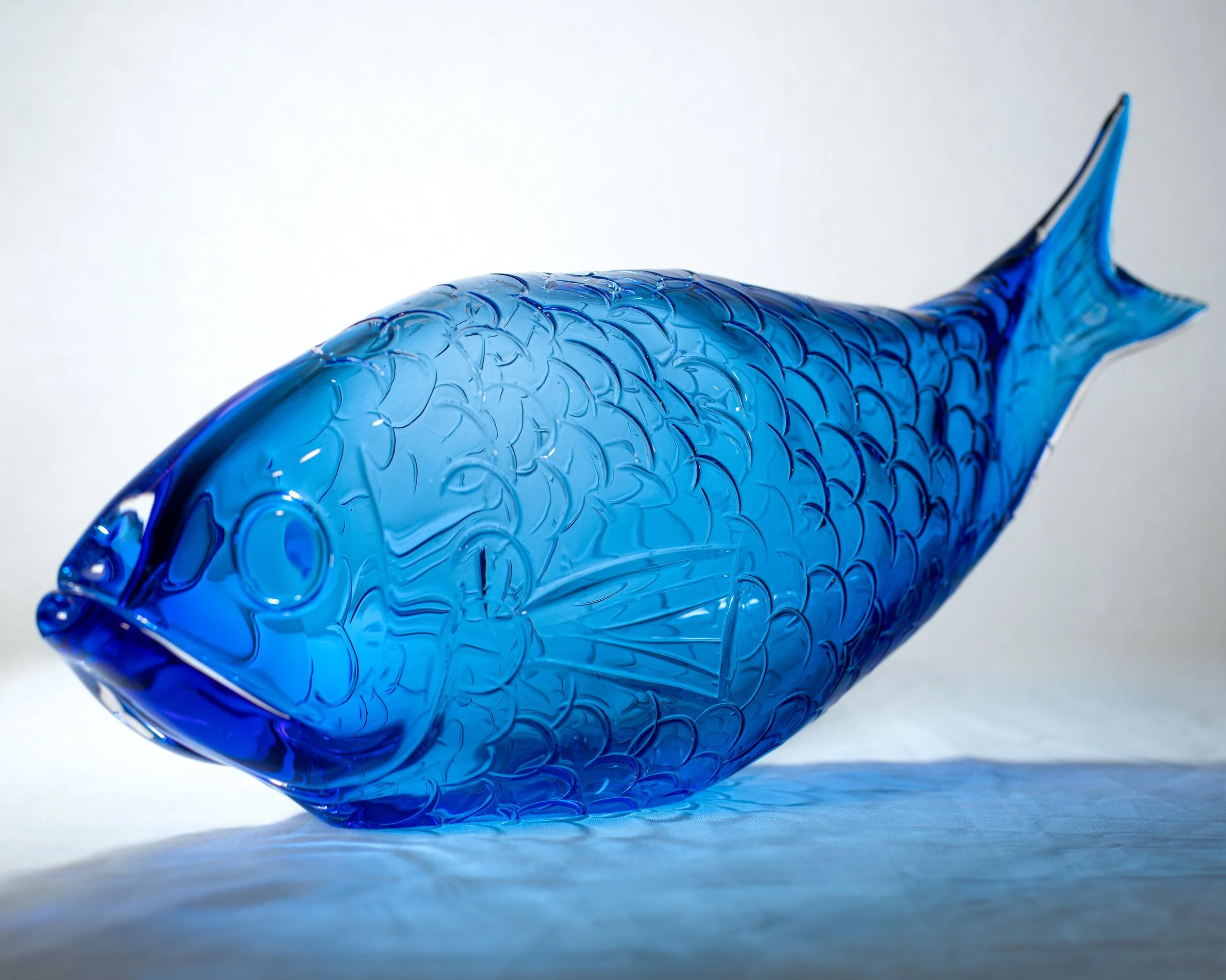 fish fulll v2 copy small.jpg