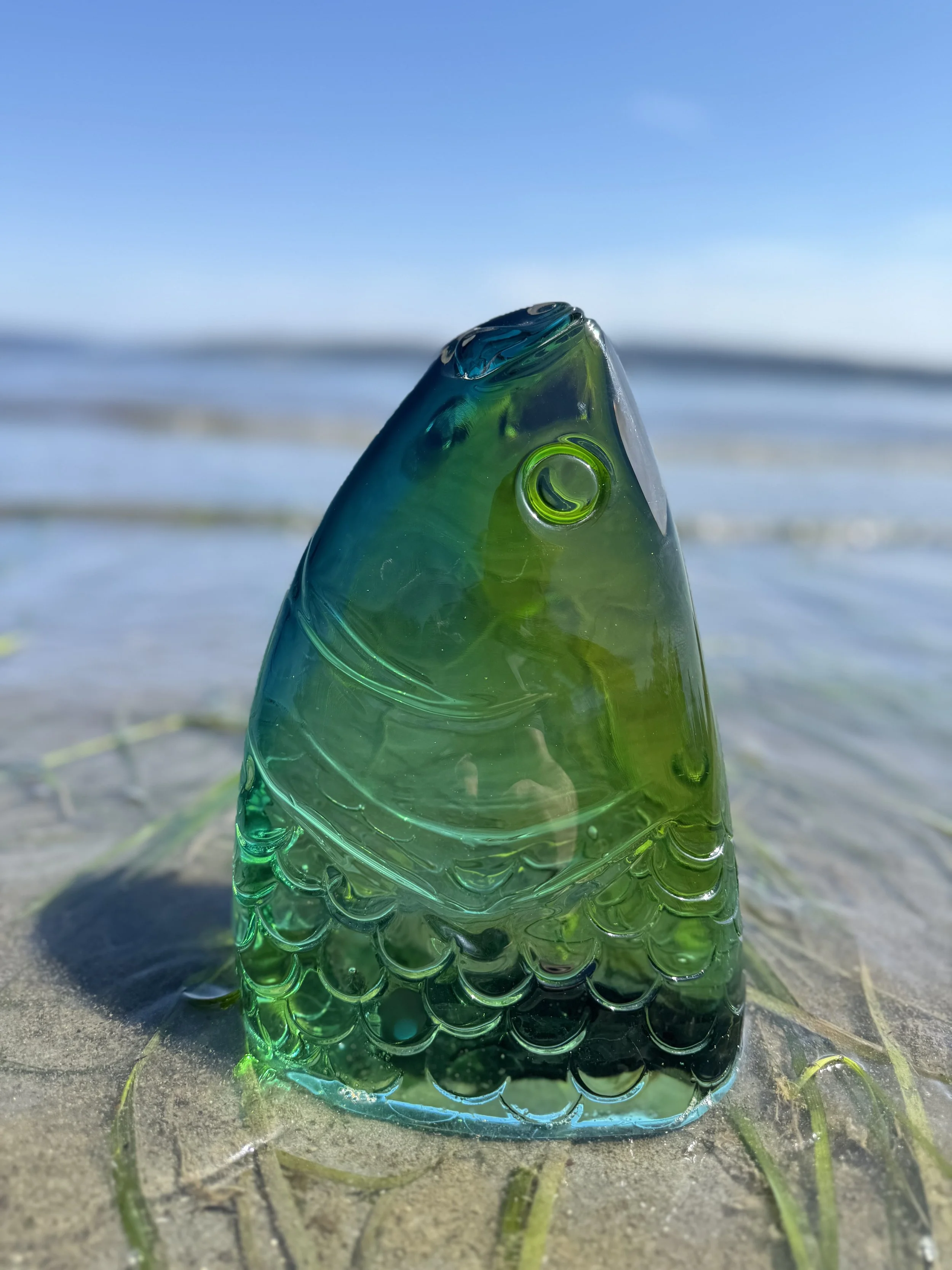 fish.jpg