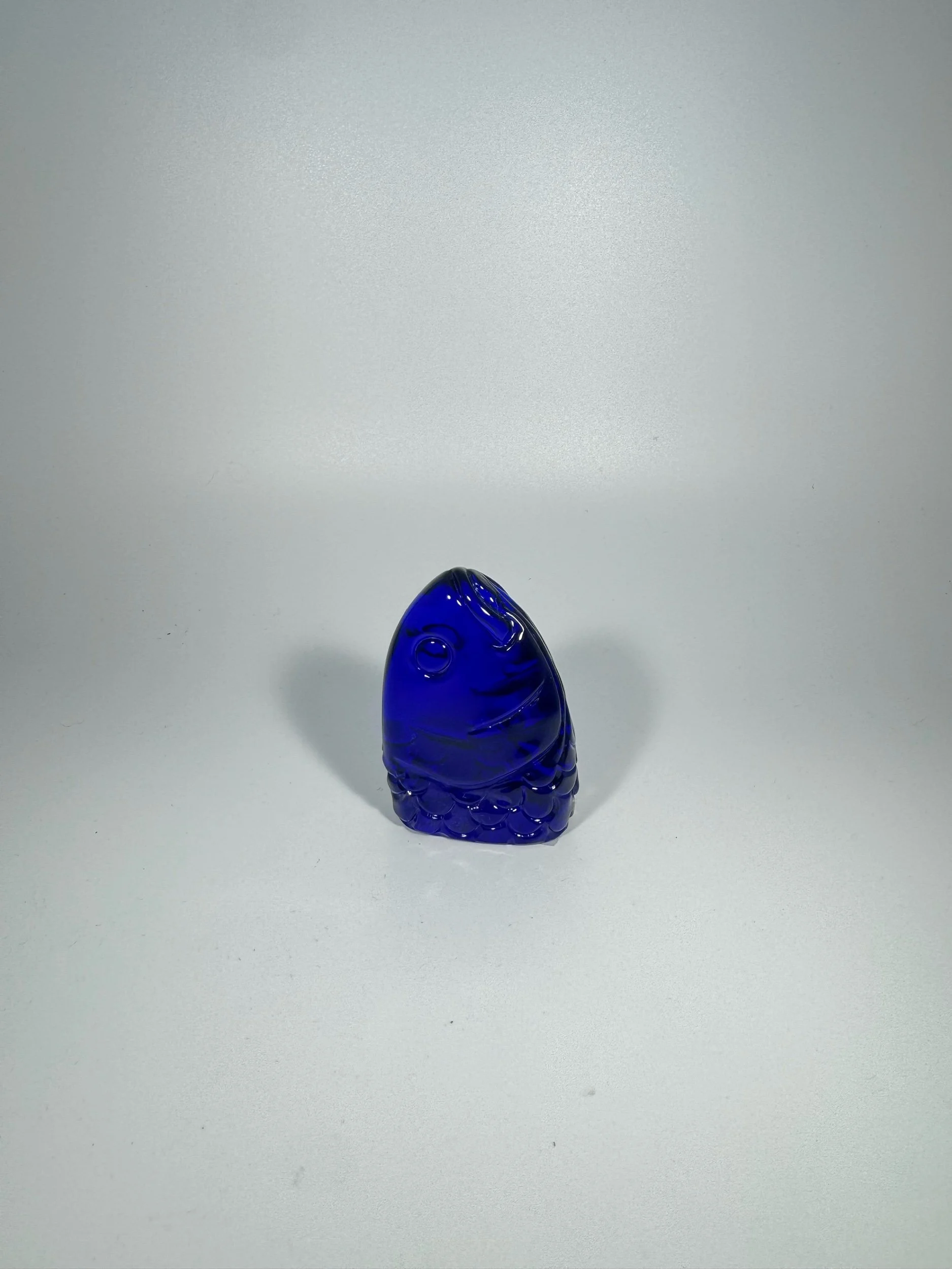 D0531CC4-C8DF-40D9-97EA-64CE3ECDB603.jpeg