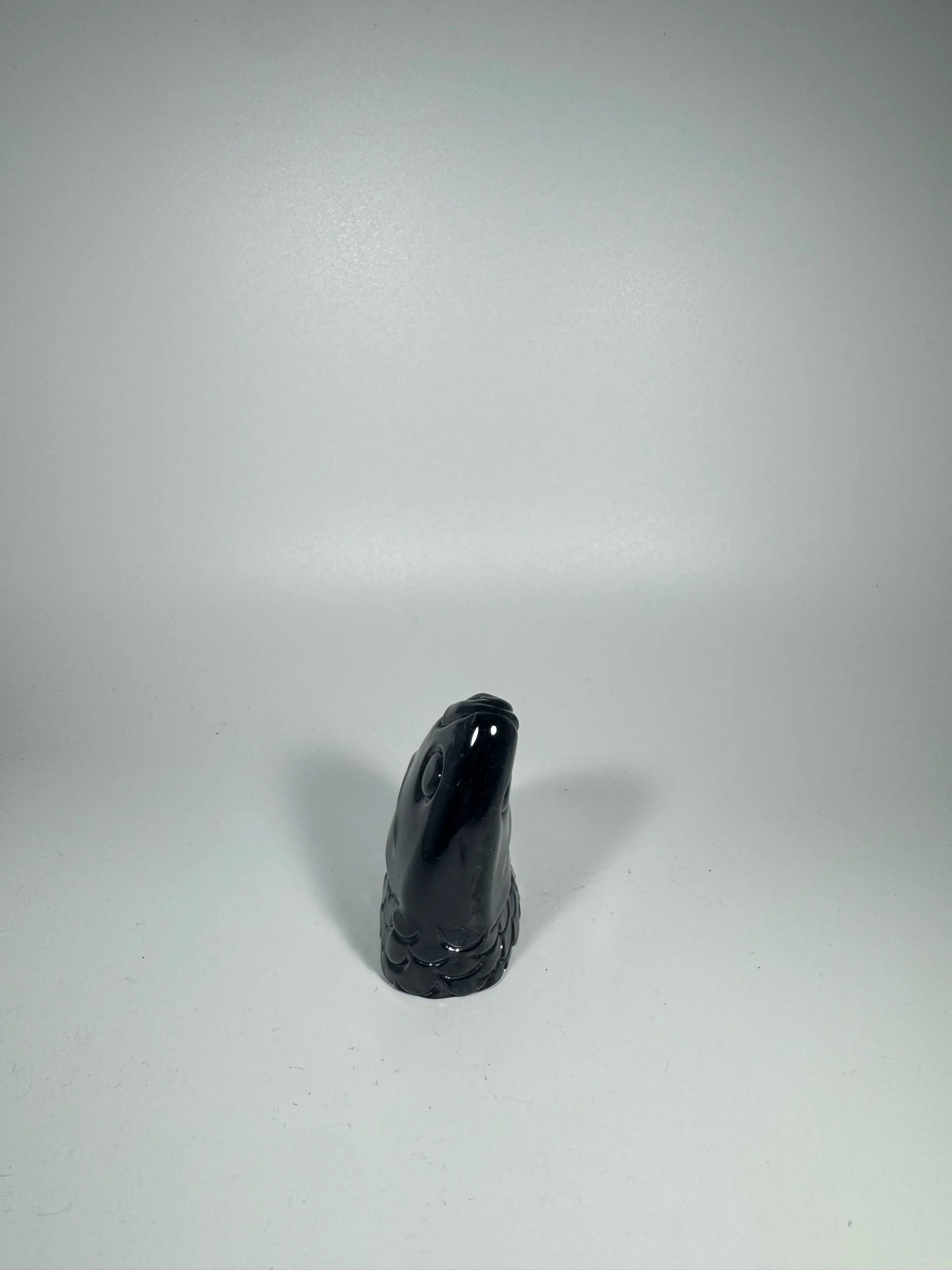 879E3659-D3C2-4241-B6B5-45B06D2481A6.jpeg