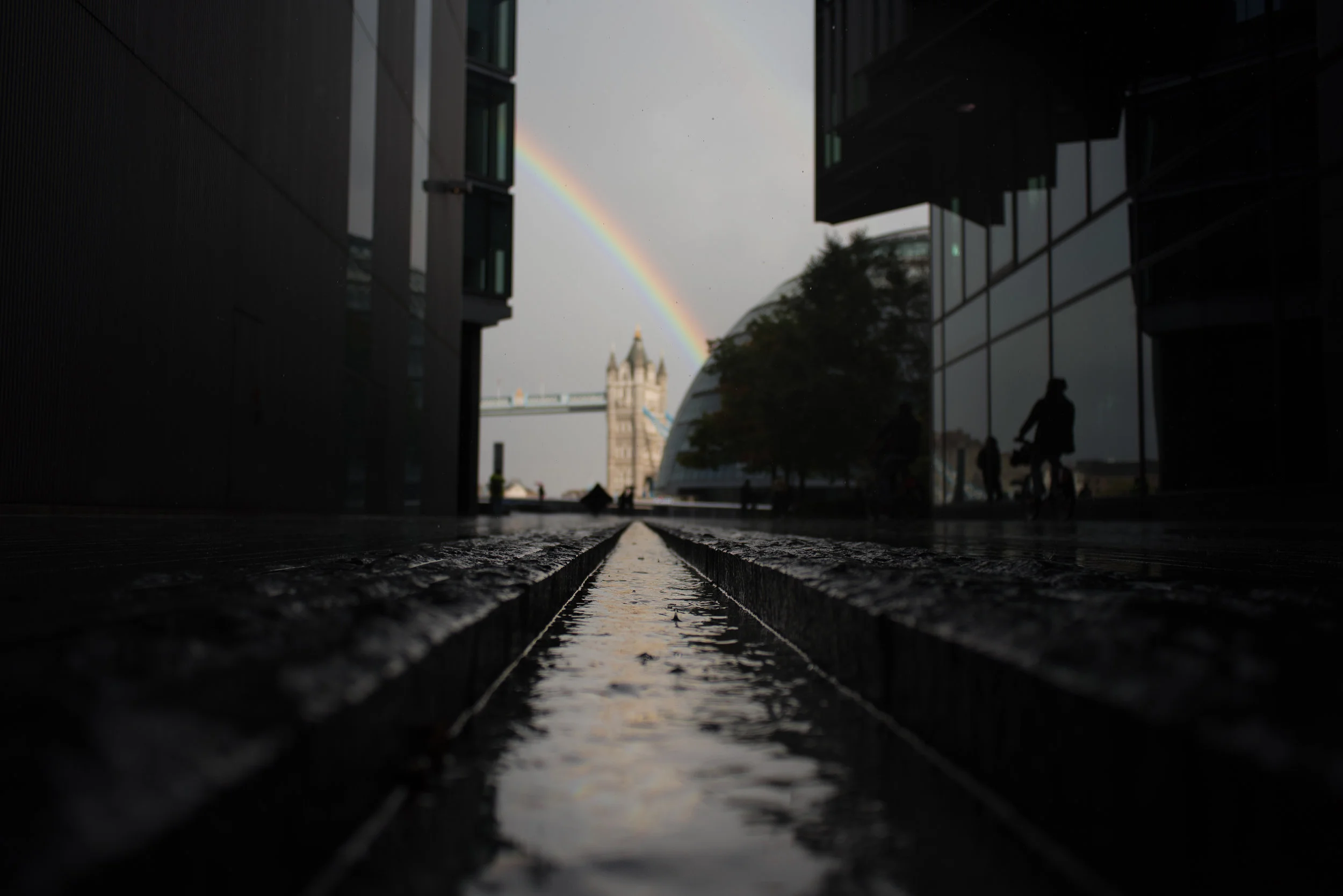DSC_0408.jpg